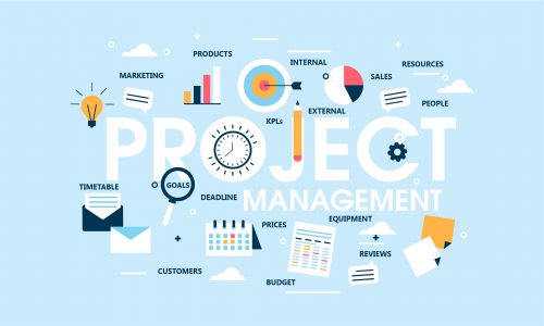 portfolio project management in enterprise software